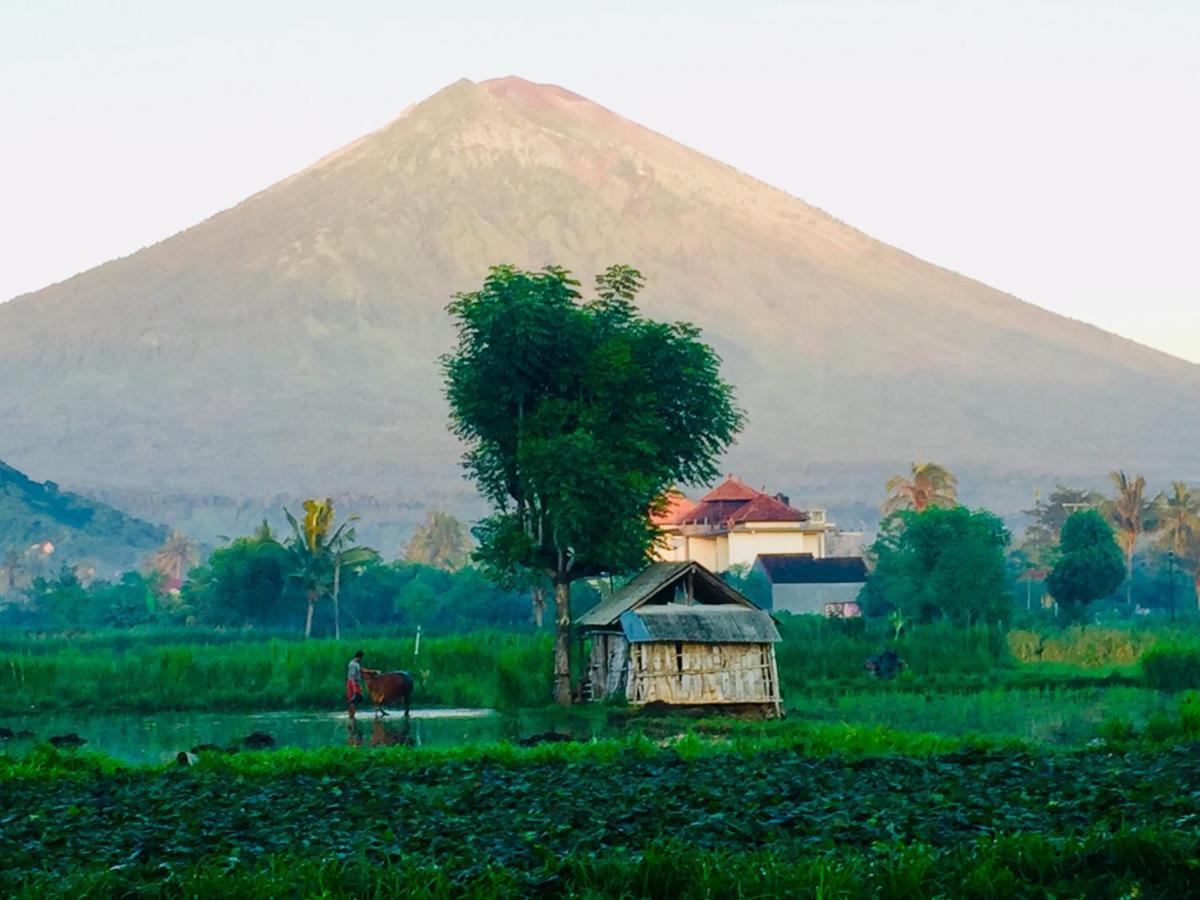 D'Uma Amed Homestay Exterior photo