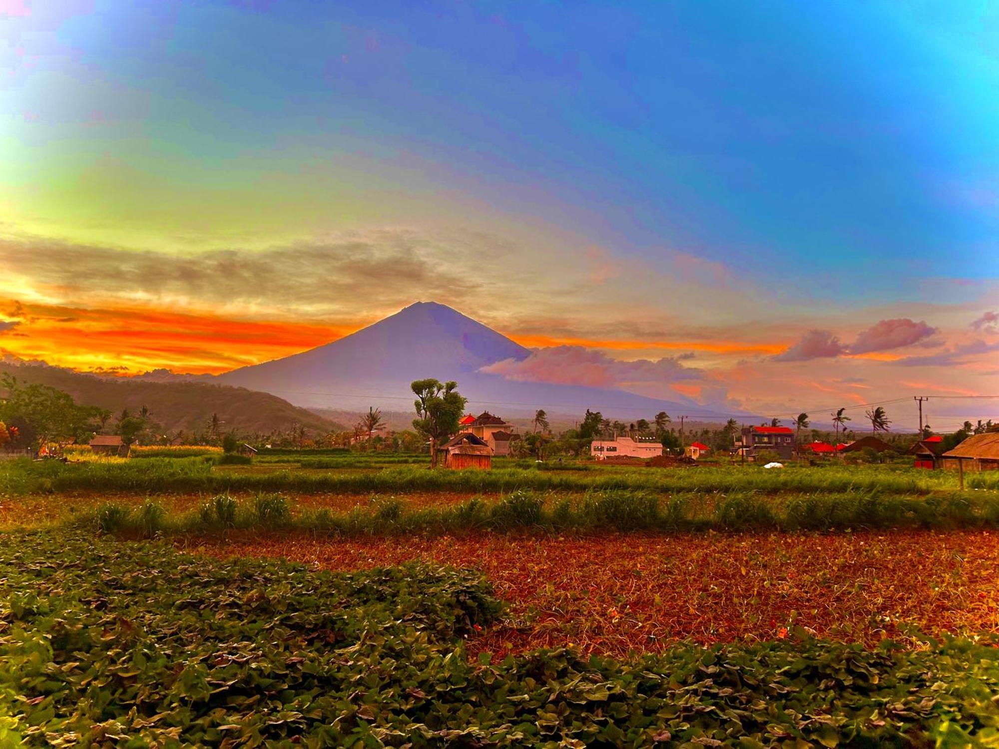 D'Uma Amed Homestay Exterior photo