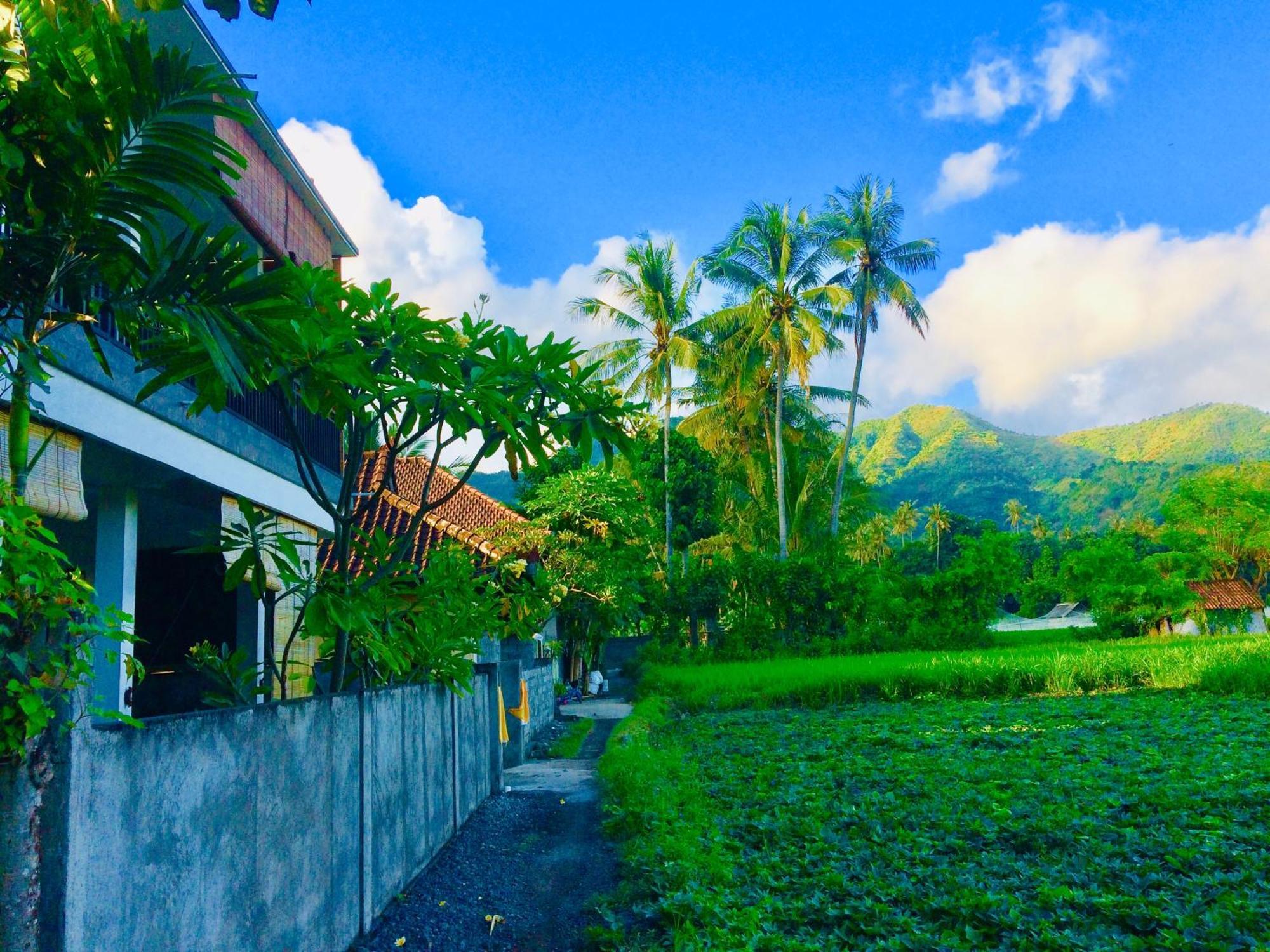 D'Uma Amed Homestay Exterior photo
