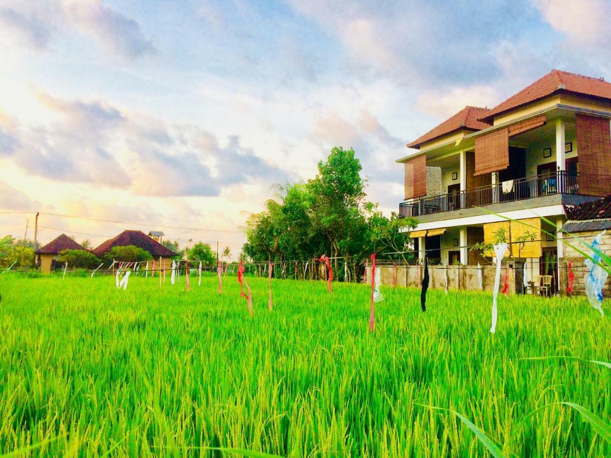 D'Uma Amed Homestay Exterior photo