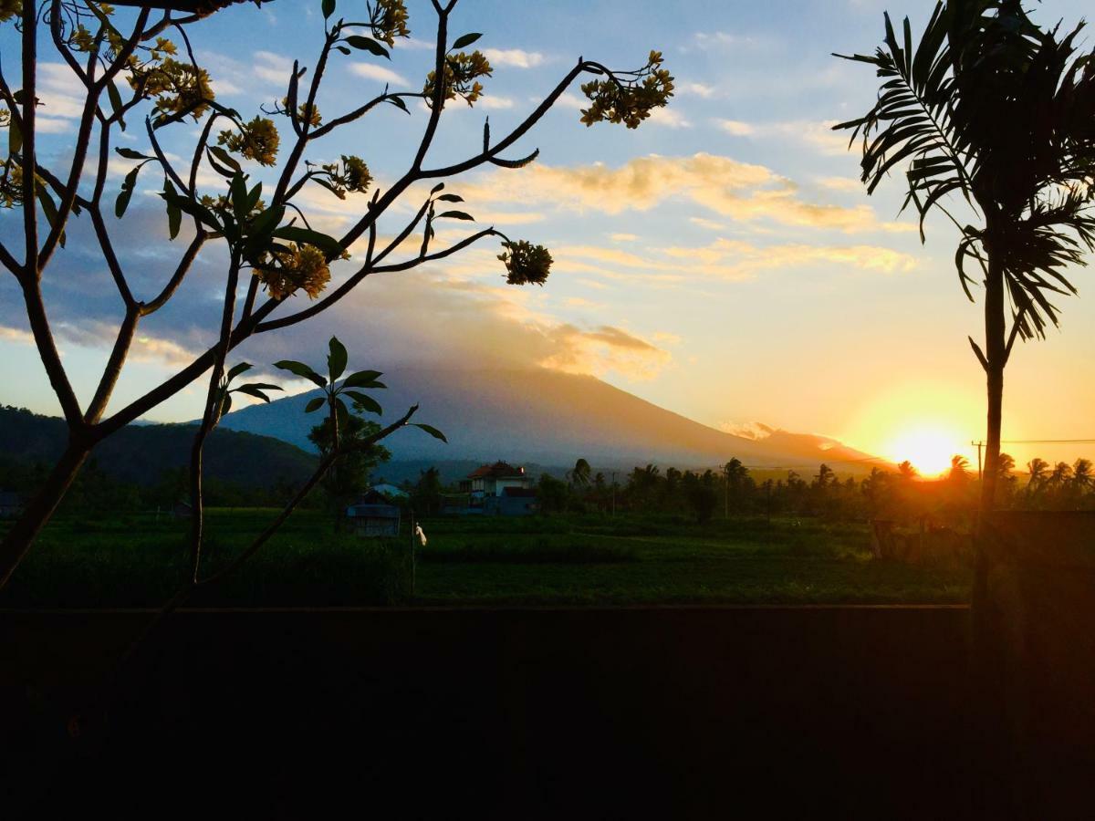 D'Uma Amed Homestay Exterior photo