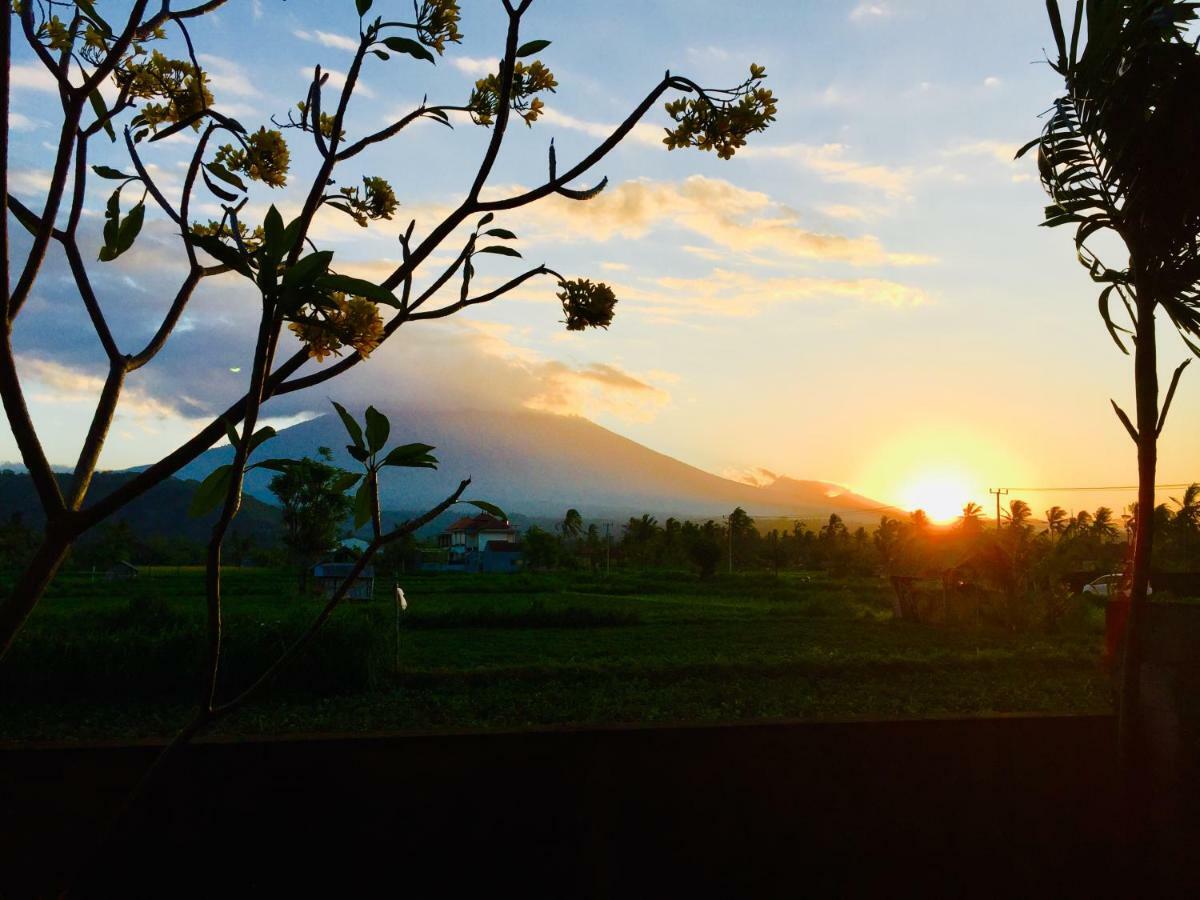 D'Uma Amed Homestay Exterior photo